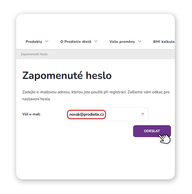 obnoveni_hesla_web_2
